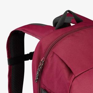 Mochila Trilha 100 Arpenaz 20L Quechua Violeta