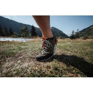Calçado Masculino de Caminhada Arpenaz 500 Quechua