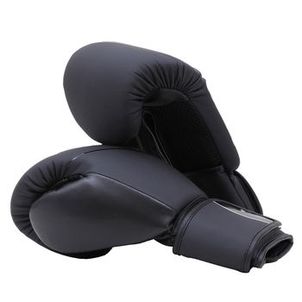 KIT BOXE/MUAY THAI NAJA EXTREME