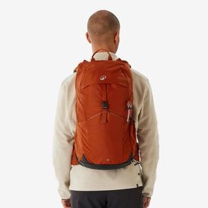 Mochila de Trilha e Trekking 500 25L Quechua Marrom