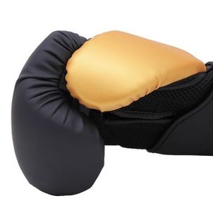 KIT BOXE/MUAY THAI NAJA EXTREME