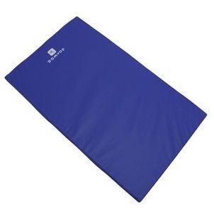 Colchonete Fitness de Alta Densidade Domyos Azul 95x55 cm
