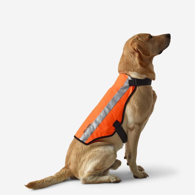 Jacket fluo orange, l Laranja G