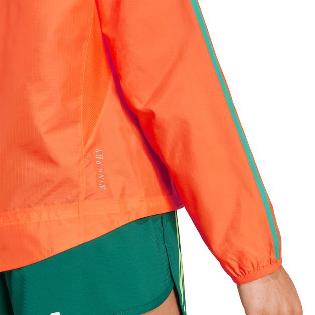 codigo-modelo-8987617
